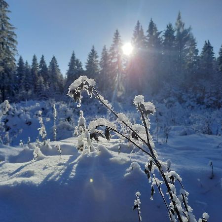 Ferienhaus Am Erzgebirgskamm Marienberg Zewnętrze zdjęcie