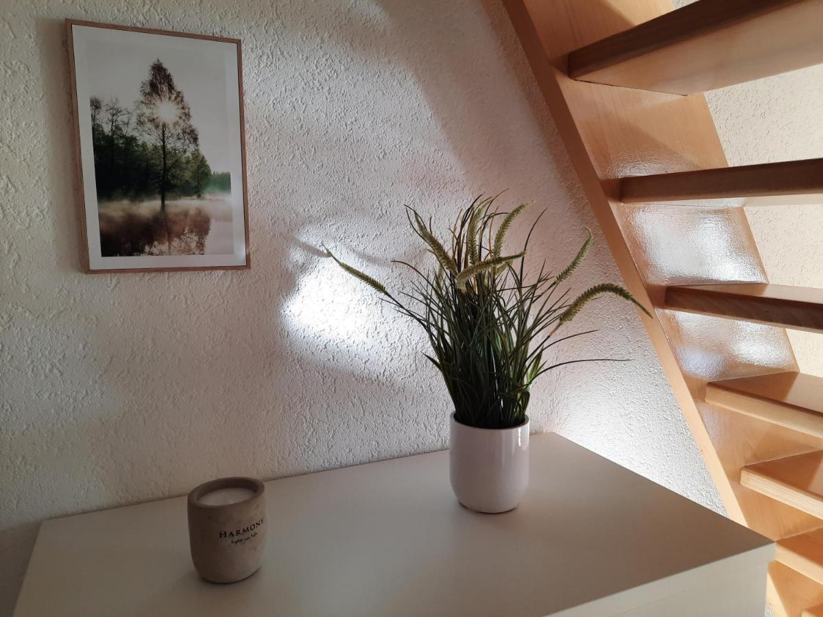 Ferienhaus Am Erzgebirgskamm Marienberg Zewnętrze zdjęcie